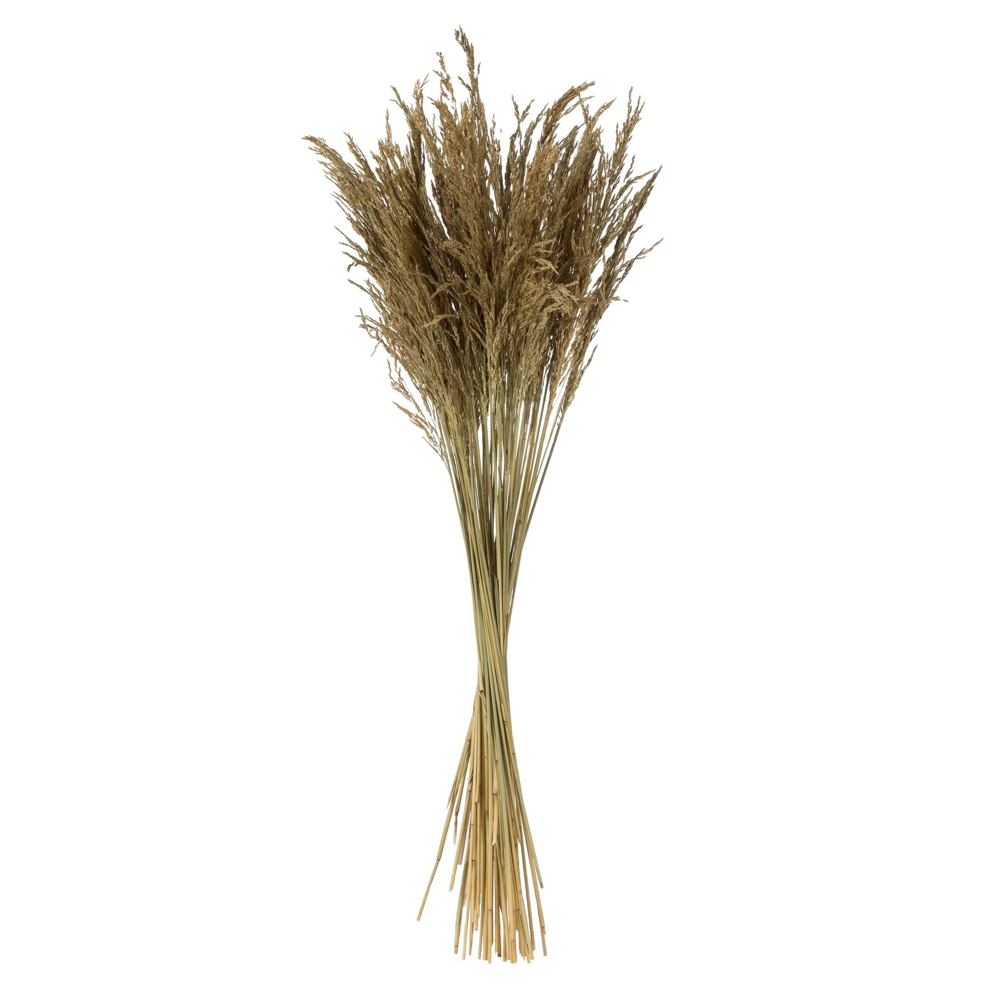 Vickerman 36" Natural Congo Grass, 8 oz Bundle, Dried - Walmart.com | Walmart (US)