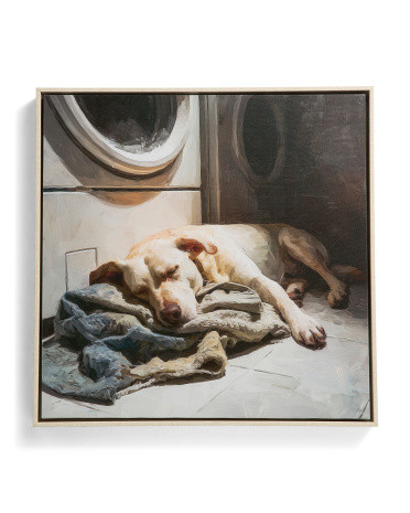 20x20 Napping Dog Laundry Day Floater Frame Wall Art | TJ Maxx