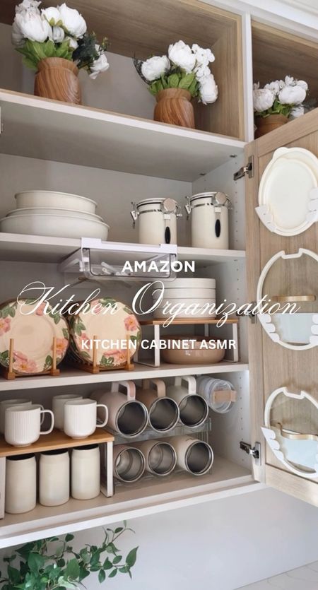 Kitchen Organization From Amazon 🌿

kitchen organization // amazon finds // kitchen decor // home finds // amazon home finds // amazon home // kitchen finds

#LTKfindsunder100 #LTKfindsunder50 #LTKhome