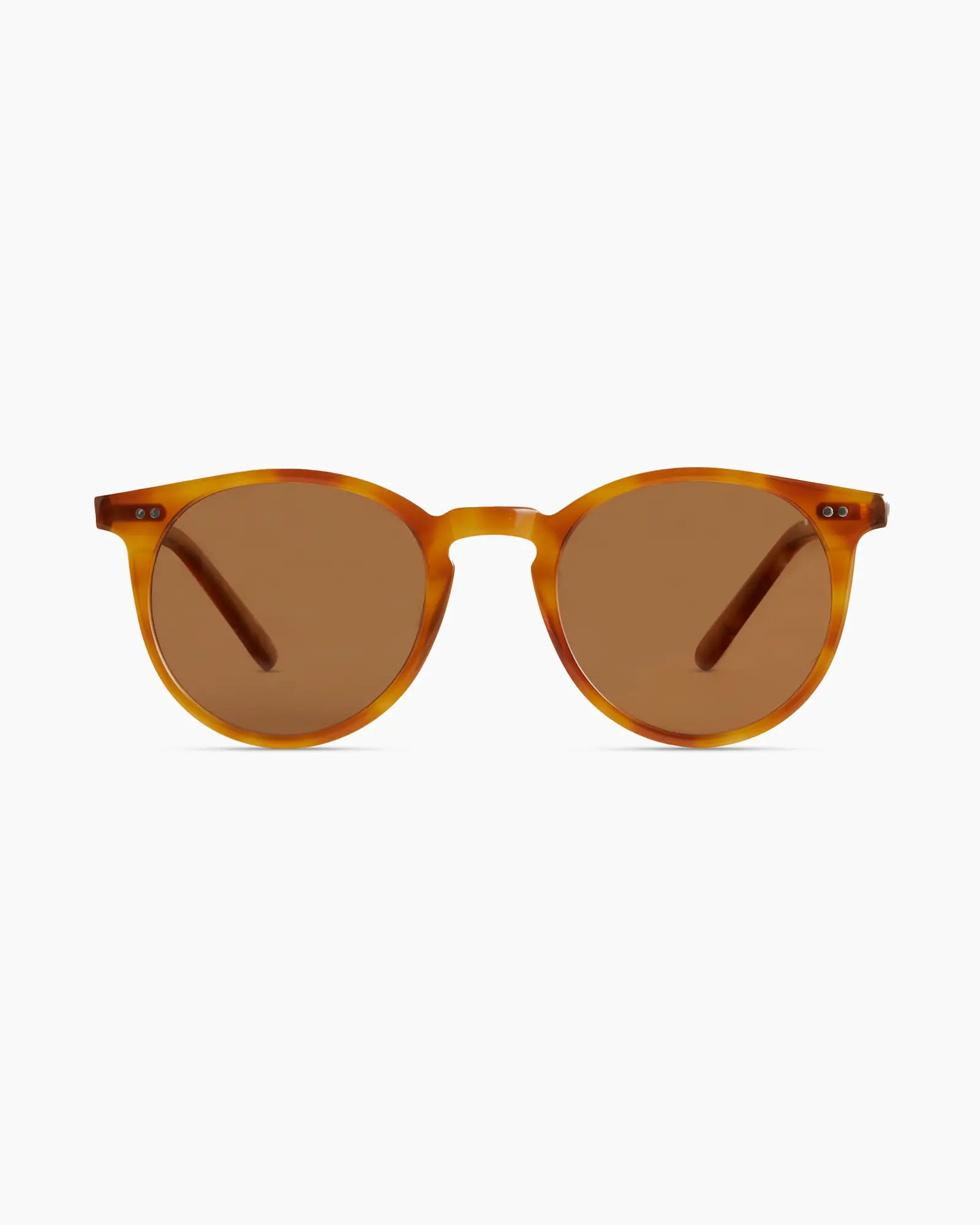 Noah Polarized Acetate Sunglasses | Quince