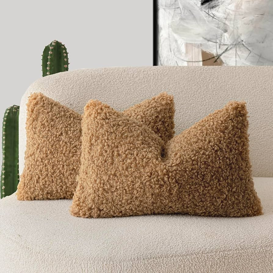 Foindtower Set of 2 Curly Teddy Wool Pillow Covers Decorative Boucle Textured Lumbar Throw Pillow... | Amazon (US)