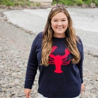 Lobster Sweater, Nautical, Size Inclusive, Navy & Red Sweater | Etsy (US)