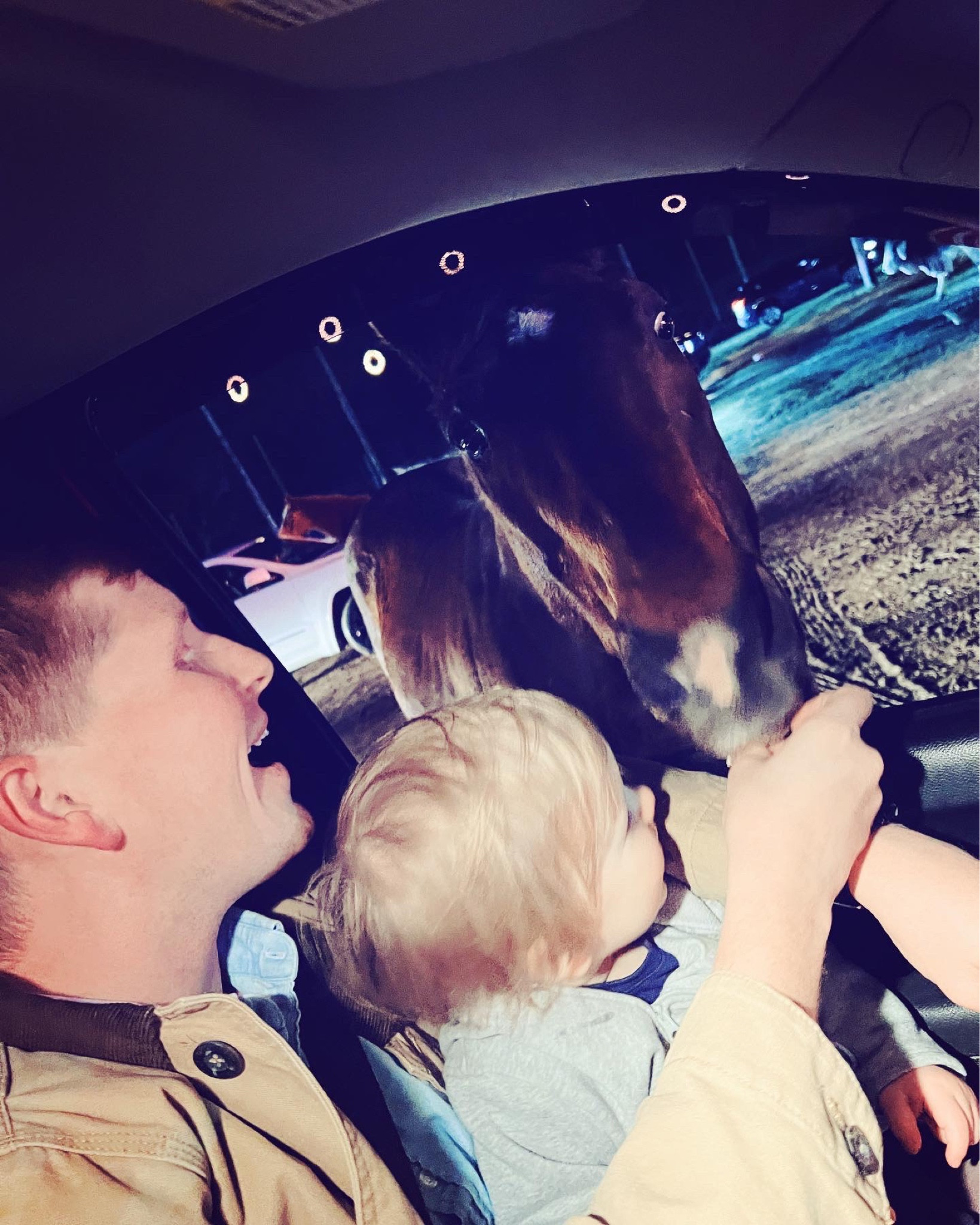 What a ✨wild✨ night we had tonight looking at all of the Christmas lights and petting lots of animals at the @hollywildpreserve - 🐴🎄🐮one of Wes’ favorite childhood Christmas-time traditions that we got to start and carry on this year with Judson!! 🥹♥️ He had the BEST time seeing all of the animals and practicing all of his animal sounds, hehe! What a night - happy Friday eve and almost Christmas, y’all!! 🦌🦓🐖🐪🐫🦙🐂🐑🦢🐄

…

#emilysayswes #judsoncarpentermabry #eighteenmonthsold #eighteenmonthold #eighteenmontholdbaby #eighteenmontholdboy #judsonmonthbymonth #sweetjudson #oursweetboy #oneyearold #oneyearoldbaby #oneyearoldbabyboy #oneyearoldboy #gratefulmotherhood #thankyoulord #mysweetboys #decembermemories #christmastime #christmasseason #christmastraditions #christmas22

#LTKfamily #LTKSeasonal #LTKHoliday