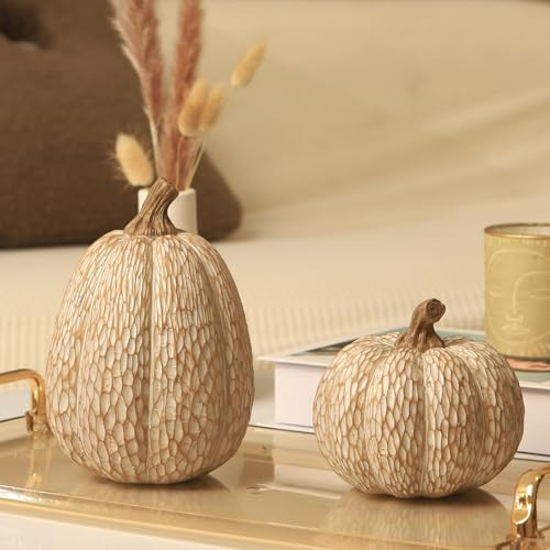 Thanksgiving Resin Pumpkins Fall Decor, Brown and White Decorative Pumpkins Figurine, Artificial Carved Faux Pumpkin Statues for Rustic Fall Tabletop Home Decor, Farmhouse, Autumn, Harvest, Wedding | Amazon (US)