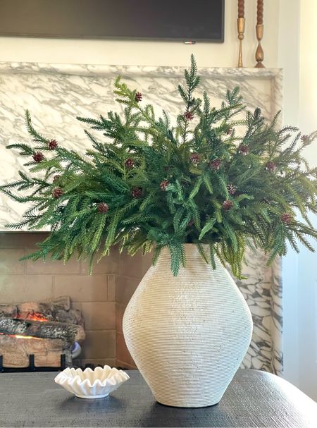 The best faux green stems to buy this Christmas holiday season!🎄
Vase is sold separately from stems, both items linked below.

Christmas decor, Amazon decor, Amazon home, Amazon faux stems, Christmas stems, holiday stems, holiday decor, gray vase, black coffee table 

#LTKSeasonal #LTKHoliday #LTKhome
