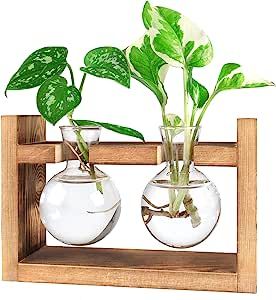 Ivolador Plants Terrarium Glass Bulb Terrarium with Retro Solid Wooden Stand for Hydroponics Plan... | Amazon (US)