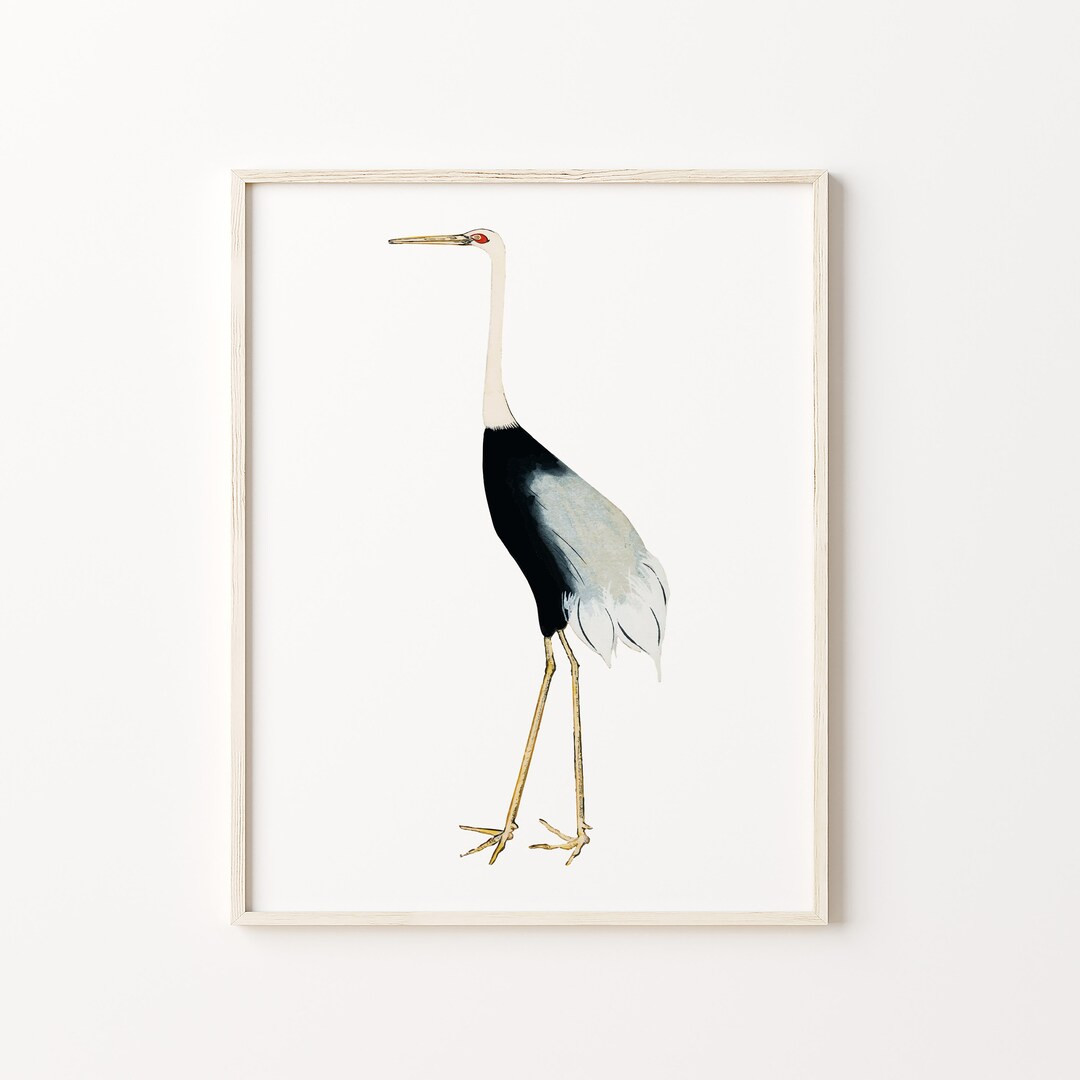 Vintage Standing Bird Print | Vintage drawing, Bird Print, Vintage Animal Print, Animal Print, Vi... | Etsy (US)