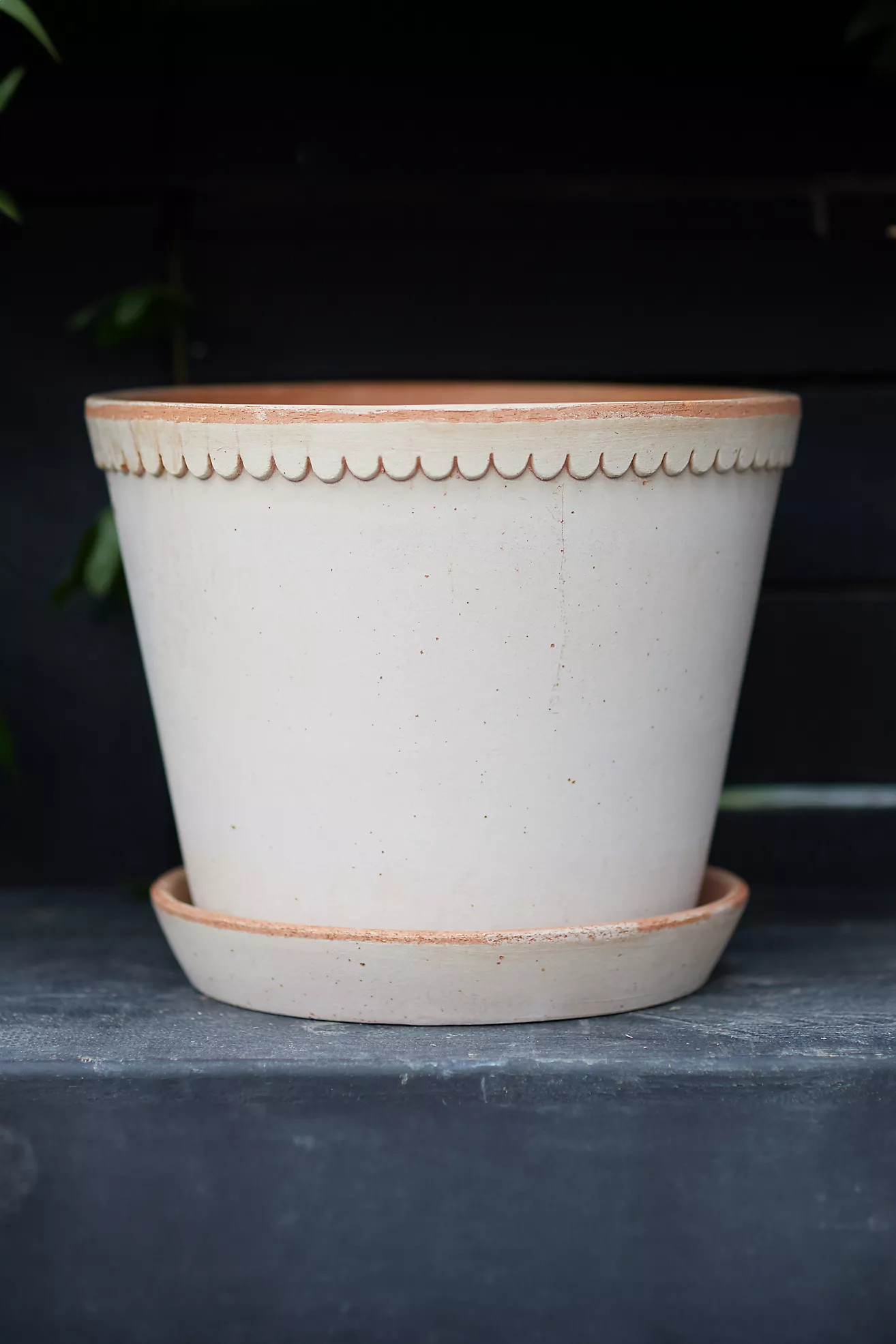 Bergs Scallop Pot + Saucer Set | Terrain