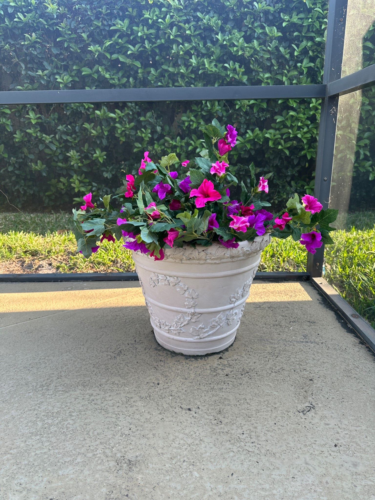 By far my favorite Amazon purchase! They’re beautiful and require no care! 

#LTKHome