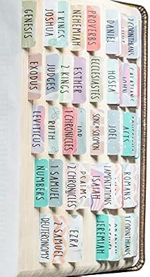 DiverseBee Laminated Bible Tabs (Large Print, Easy to Read), Personalized Bible Journaling Tabs, ... | Amazon (US)