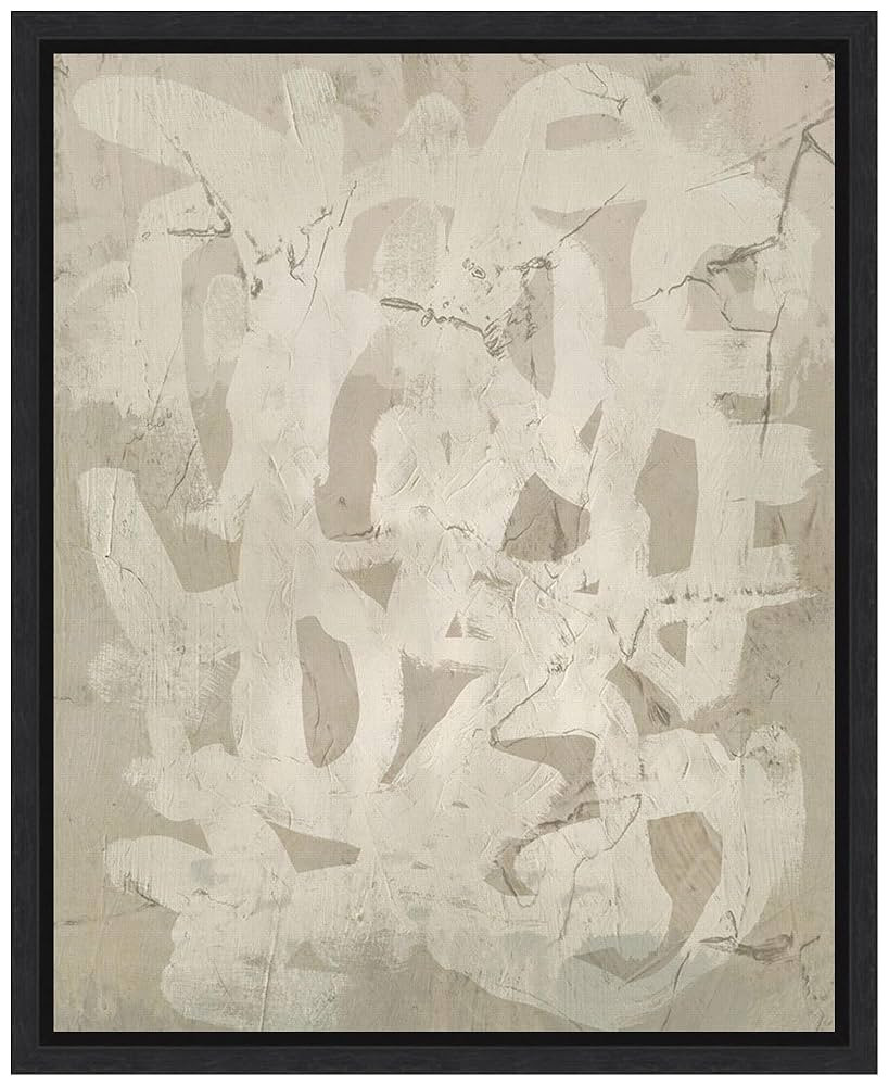 Amanti Art Framed Canvas Wall Art 20x16 Impasto Artifact II by June Erica Vess, Framed Wall Art C... | Amazon (US)