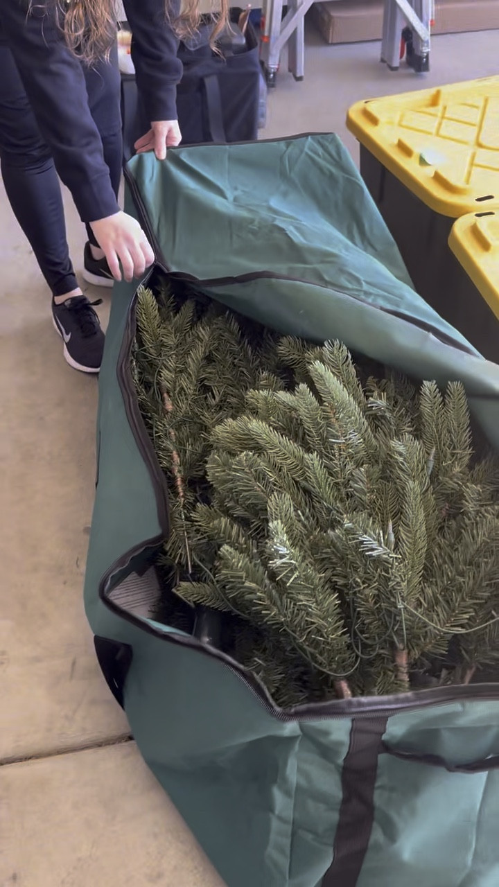 Ditch the box for your Christmas tree!

#LTKfamily #LTKhome #LTKSeasonal