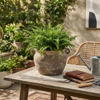 Bungalow Rose Textured Stoneware Jug Planter | Wayfair North America