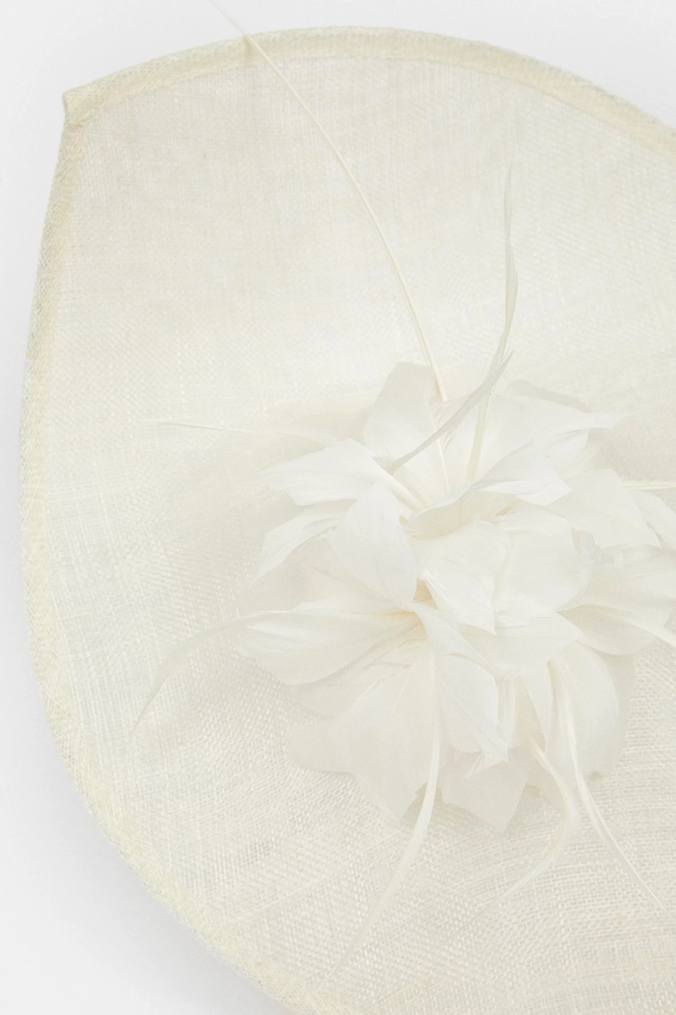 Feather & Quill Disc Fascinator | Karen Millen US