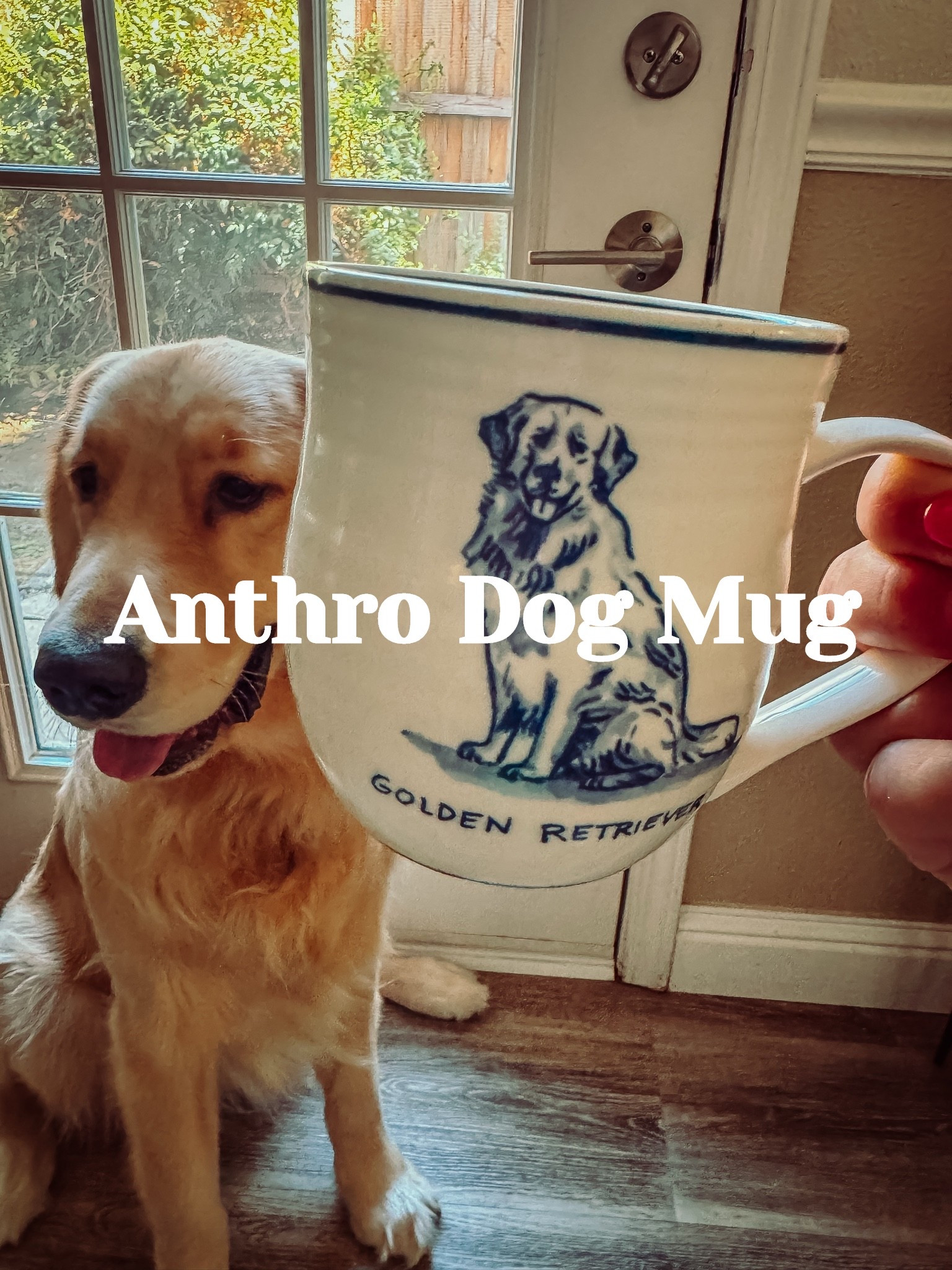 The mug that everyone loves 🦮lots of different breeds to choose from! 🩷

#LTKmorningroutine #LTKstorytime #LTKHome