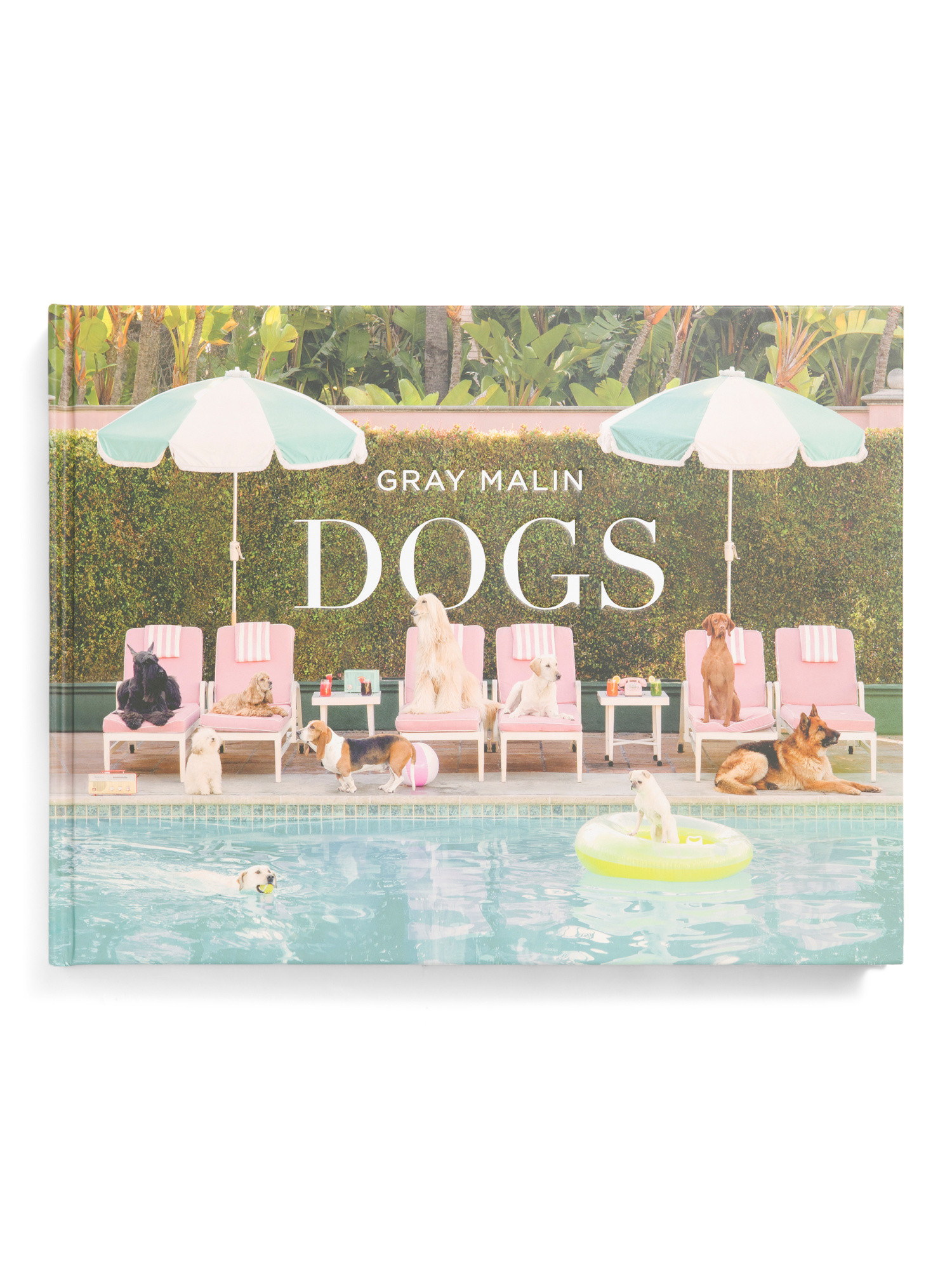 Gray Malin Dogs Book | Pillows & Decor | Marshalls | Marshalls