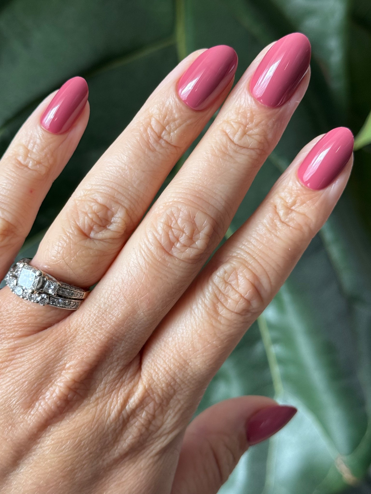 One of favorite go to press ons from Olive & June, LD in medium oval. Applied with sticky tabs in less than 20 minutes and they will last me through the weekend where I will likely get bored of the color. 

This isn’t a typical Valentine’s Day shade but certainly feels right for the occasion. 

#LTKBeauty #LTKValentine