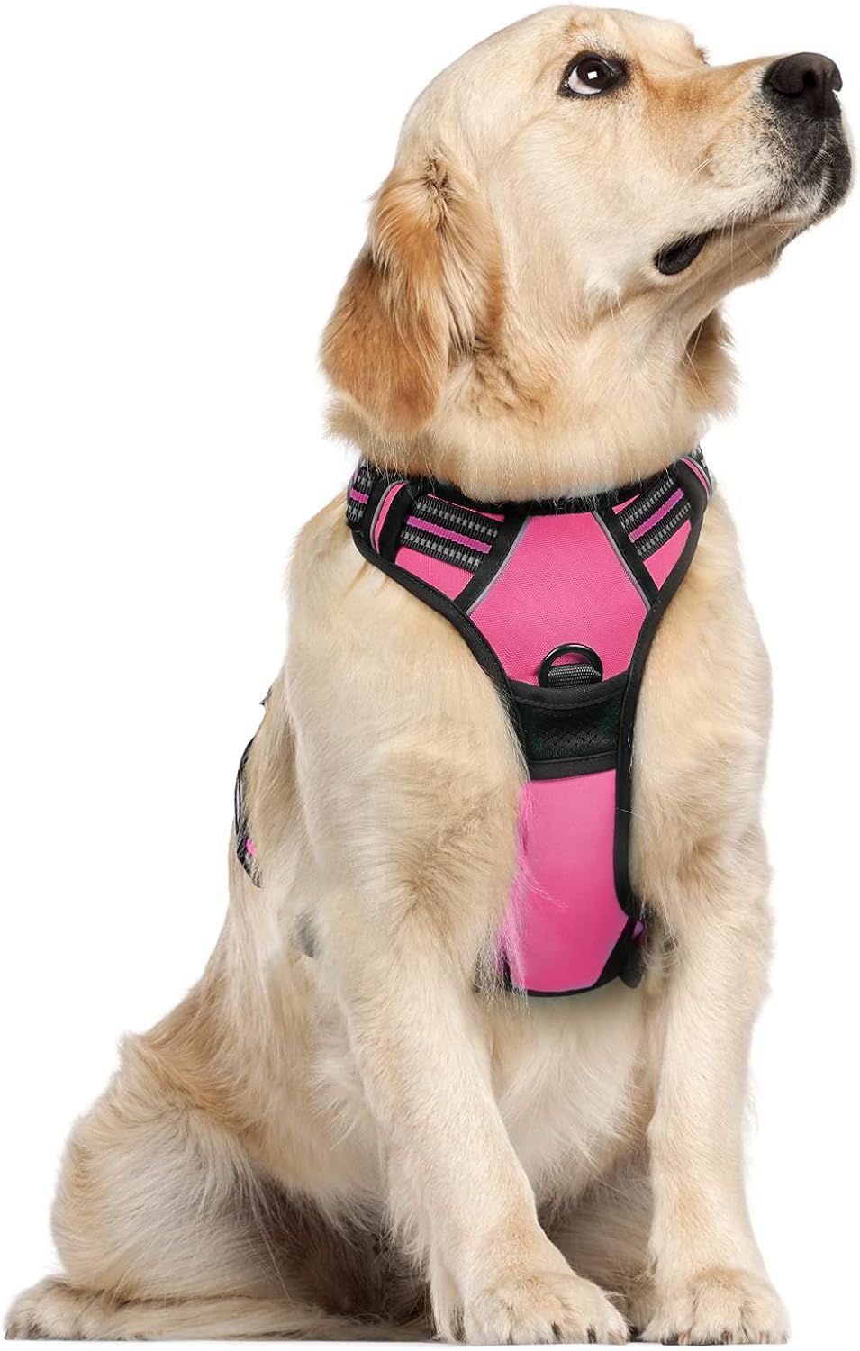 rabbitgoo Dog Harness, No-Pull Pet Harness with 2 Leash Clips, Adjustable Soft Padded Dog Vest, R... | Amazon (US)