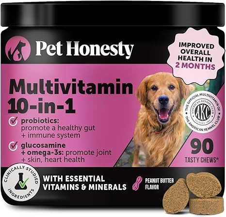 10-in-1 Dog Multivitamin Supplement with Glucosamine & Probiotics - Hip & Joint Support, Digestiv... | Amazon (US)