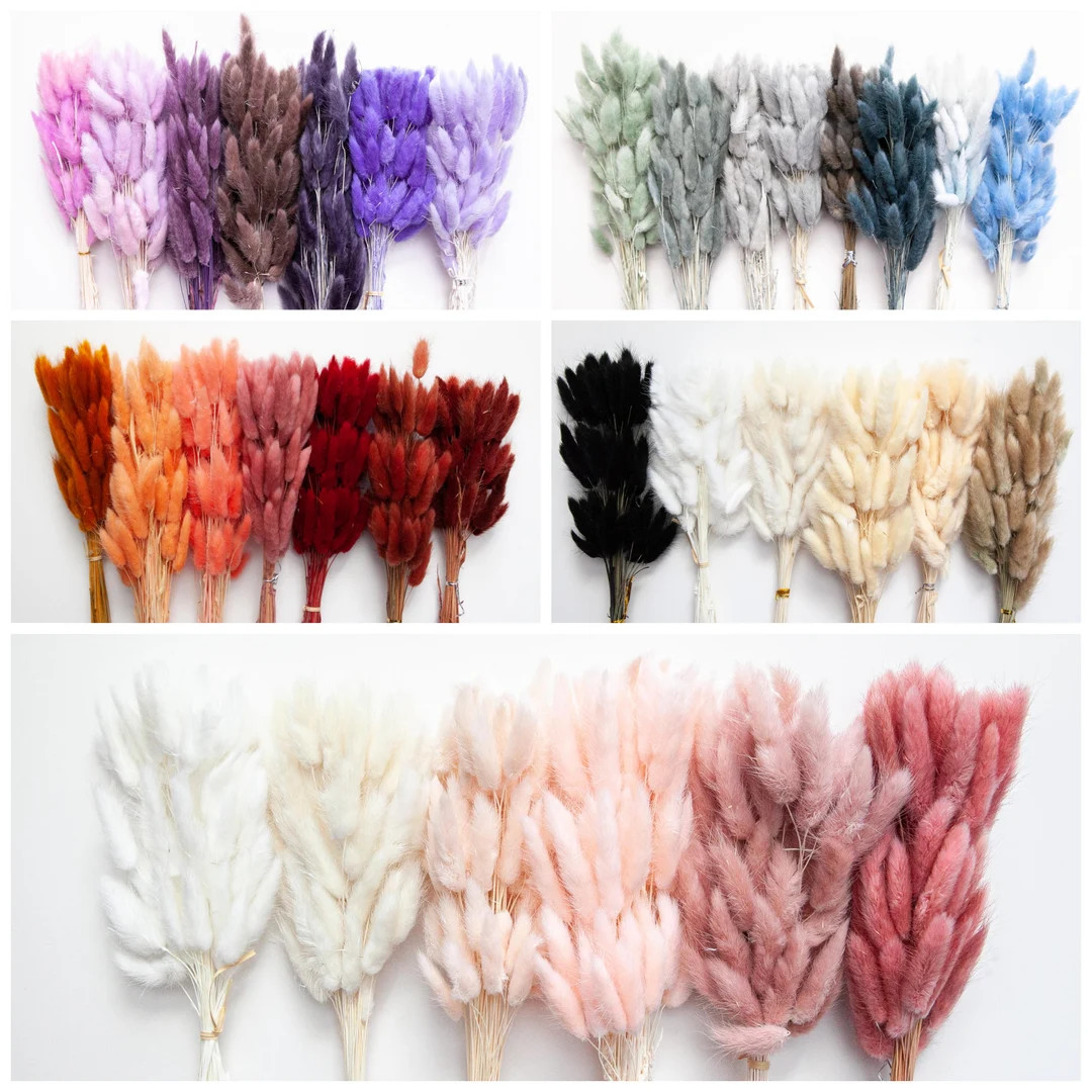 50 Dried Bunny Tail Rabbit Grass Stems Lagurus Grass CHOOSE C0LOR naturally Dried Lagurus Pampas ... | Etsy (US)