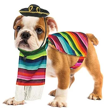 Skeleteen Mexican Serape Dog Costume - Cinco de Mayo Poncho and Sombrero Costumes for Pets (Size L) | Walmart (US)