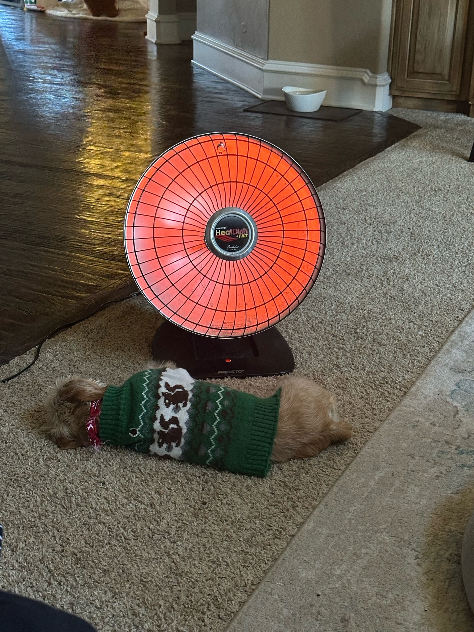 Cozy season must-have! 🍂 The Presto Heat Dish keeps us warm without cranking up the thermostat. It’s energy-efficient, super effective, and perfect for chilly mornings. We LOVE it and can’t recommend it enough! 

#LTKGiftGuide #LTKHome #LTKSeasonal