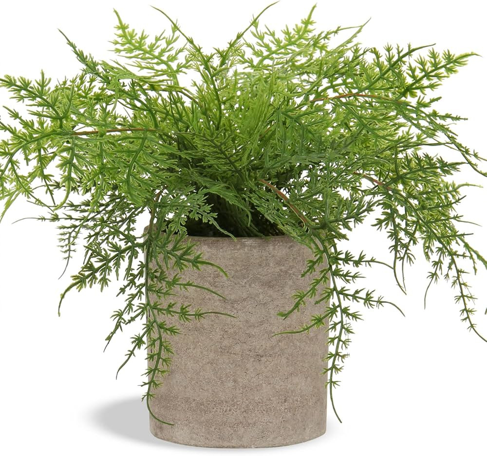 Small Fake Plant Potted Plants Artificial Decor Silk Ferns Plant Faux Plants in Pots for Home Liv... | Amazon (US)