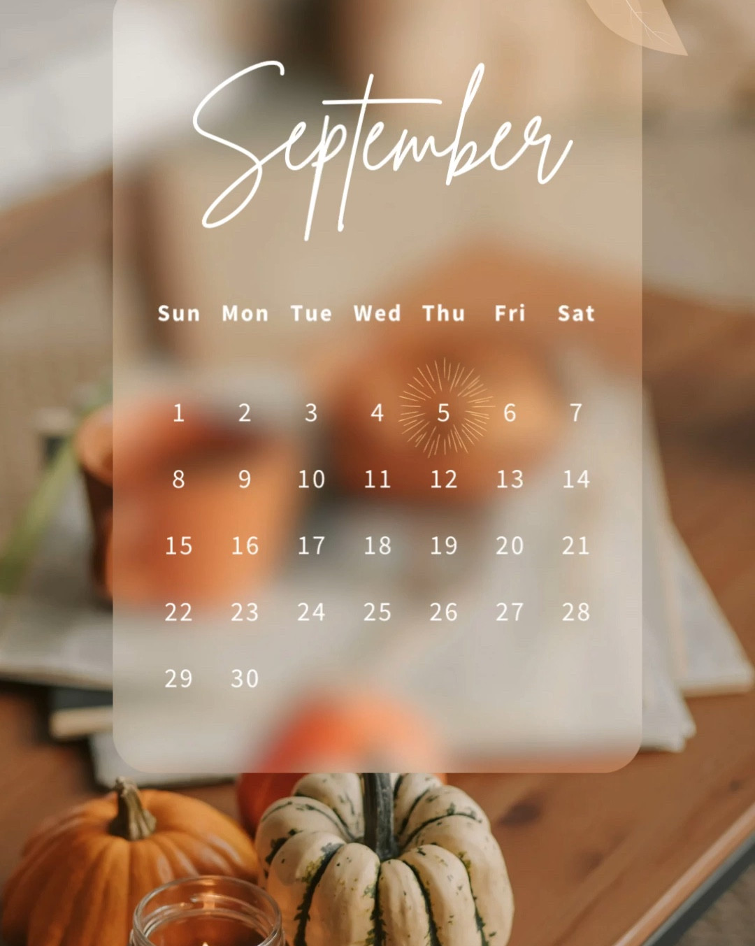 Fall favorites! WHO ELSE LOVES FALL??? Let me know in the comments 🍂🤎

#LTKNYFW #LTKCon #LTKFallSale