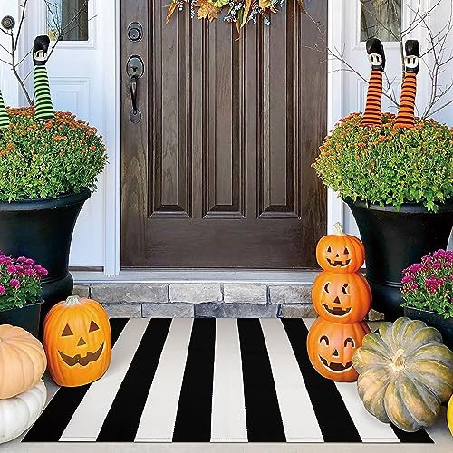 IOHOUZE Black White Striped Rug -27.5" X 43" Front Door Mats Outdoor,Washable Rug for Front Porch... | Amazon (US)