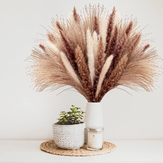 Pampas Grass 60Pcs 17.5" Natural Dried Pampas | 15 White Pampas & 15 Brown Pampas & 30 Pampas, Va... | Amazon (US)