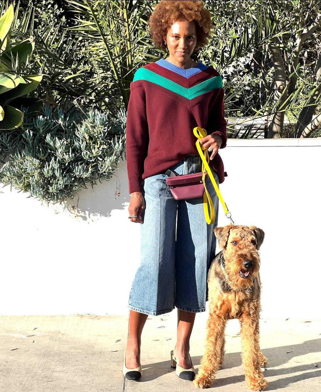 Pets and fashion! Let’s discuss.
Meet Bosley! He wants all the shine
.
.
.
.

#petfashion #ootd #falltransitional

#LTKActive #LTKStyleTip #LTKPets