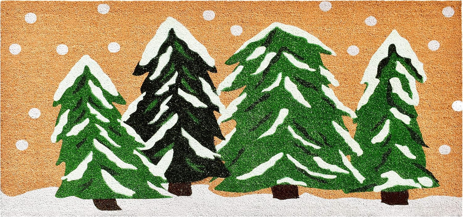 Calloway Mills 122252448 Winter Wonderland Doormat, 24" x 48", Multicolor | Amazon (US)