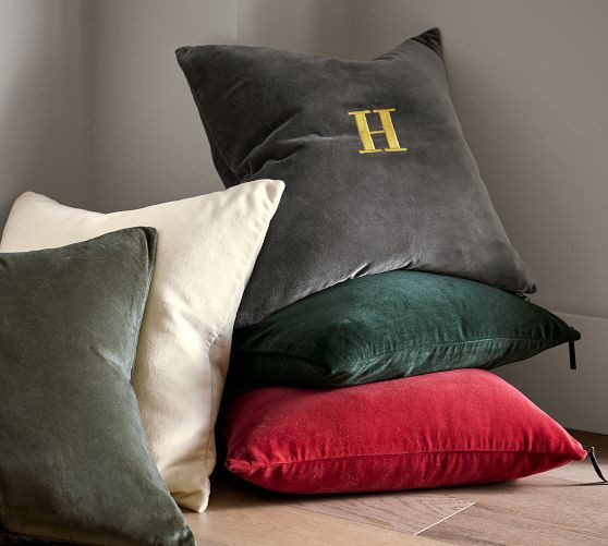 Everywhere Velvet Pillow | Pottery Barn (US)