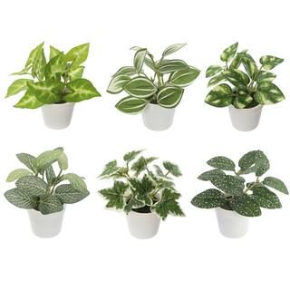 Assorted 4" Plant Decoration by Ashland® | Michaels Stores
