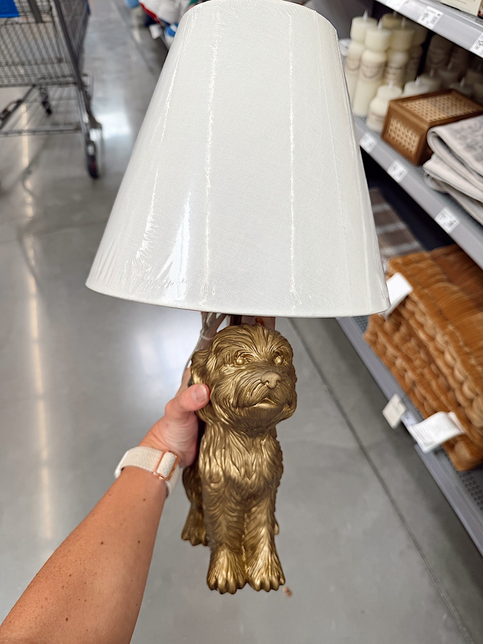 The cutest lamp ever! This golden doodle lamp is from Walmart and is adorable.



#LTKKids #LTKHome #LTKmomlife