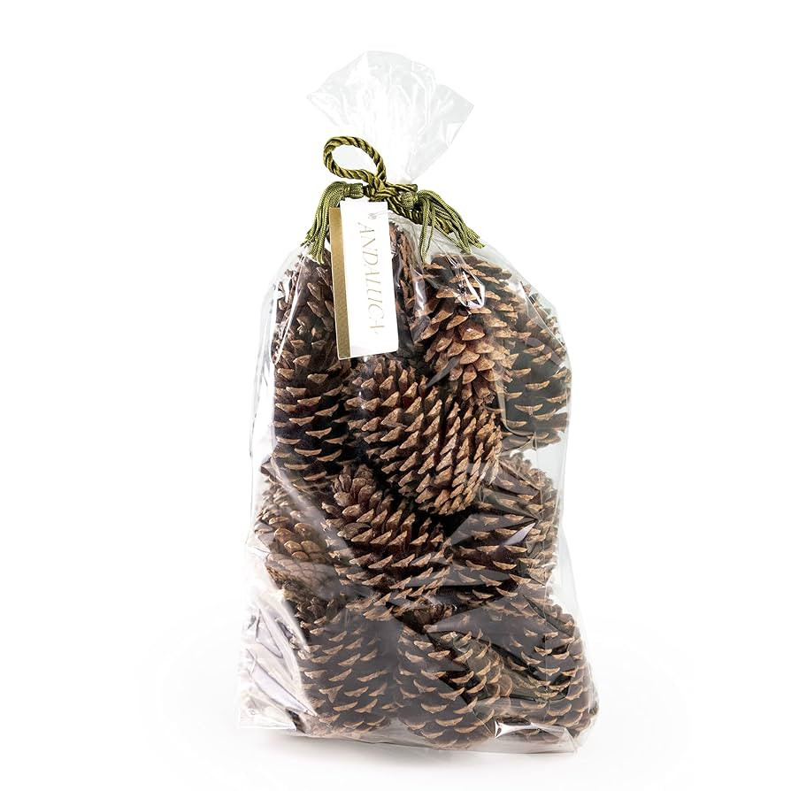 ANDALUCA Pinecone Vase & Bowl Fillers | Scented Pine Cones Decor (Natural) | Amazon (US)