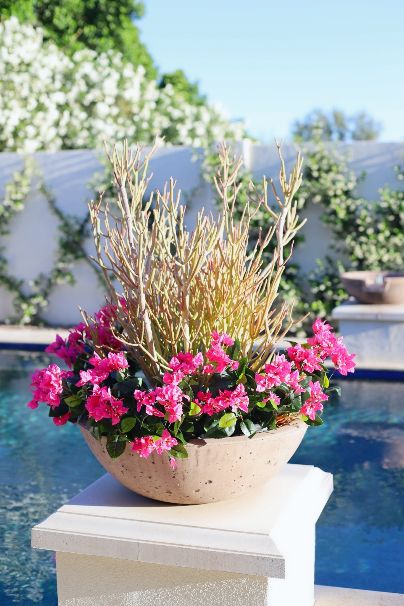 #AD Sorry honey! Just wanted to add a pop of color to the backyard 💗🌸 These UV-resistant bougainvilleas from @Wayfair are too pretty to pass up! 🤭

Link in bio OR comment “FLOWER” to shop! #wishyouwerehere #outdoor #Wayfair #WayfairPartner  

#LTKHome