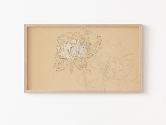 Frame TV Art File, Samsung Frame TV Art File, Vintage Drawing, Study of Peonies, Flower Sketch, N... | Etsy (US)