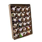 Kurt Adler Early Years Mini Glass Ornament Set of 24 - Ball and Reflector (YAMGC0284), Christmas | Amazon (US)