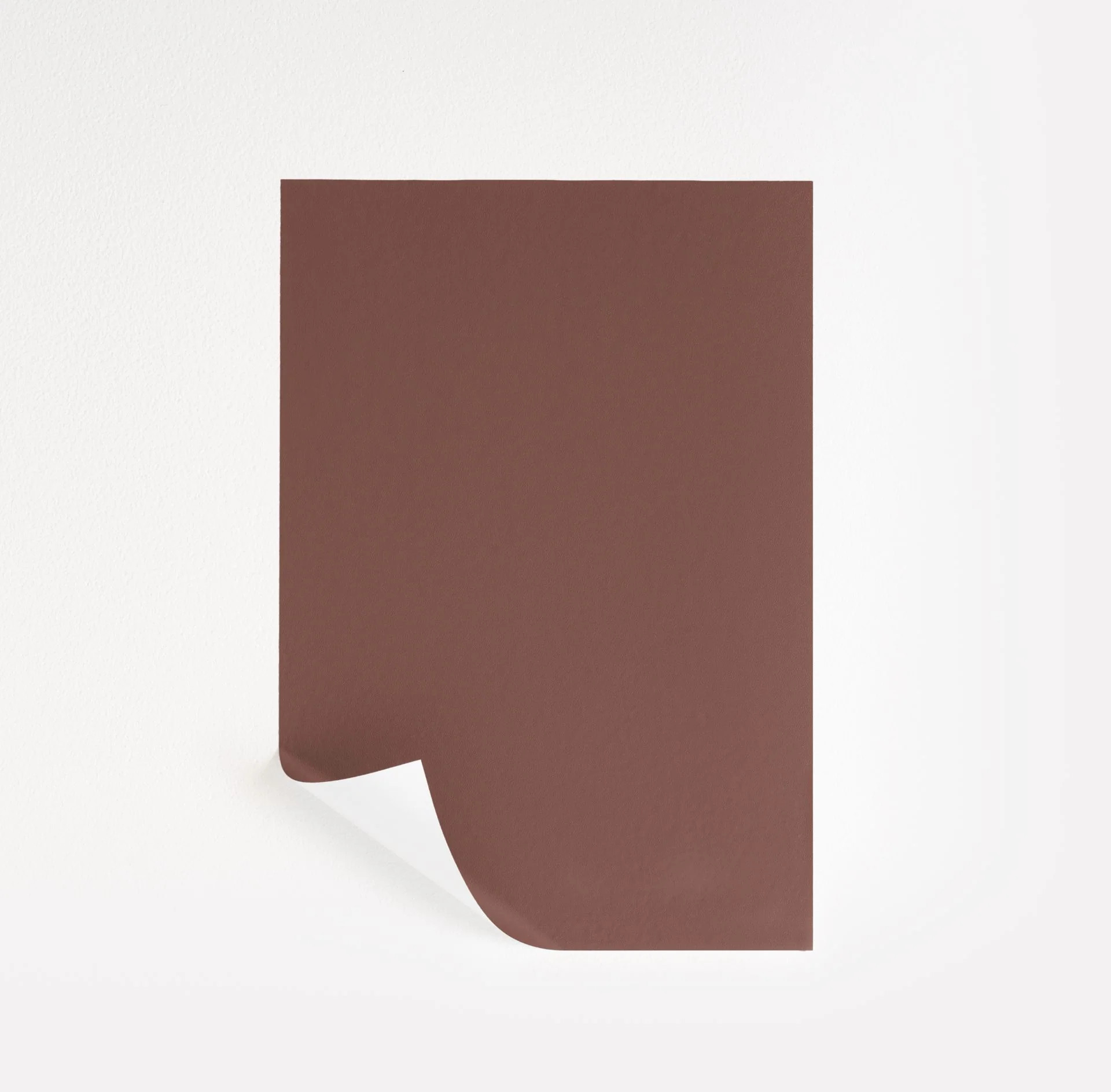 Canyon Clay  Paint Sample | Samplize