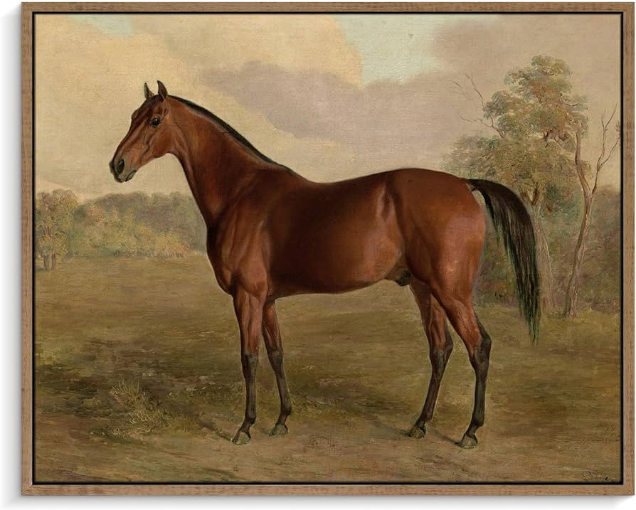 Pinetree Art Framed Canvas Wall Art Room Decor, Vintage Horse Paintings Prints, Rustic French Far... | Amazon (US)