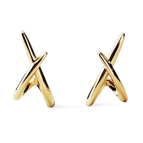 Ana Luisa Trendy Stud Earrings for Women - 14K Gold Plated and Silver Rhodium Plated Earring Studs - Simple, Minimalist, Dainty X Studs Earring - Hypoallergenic, Tarnish-Free, Jewelry | Amazon (US)