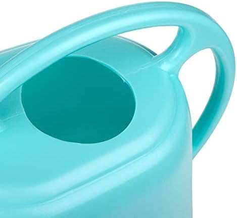 Fasmov Plastic Watering Can, Bright Blue, 1-Gallon | Amazon (US)