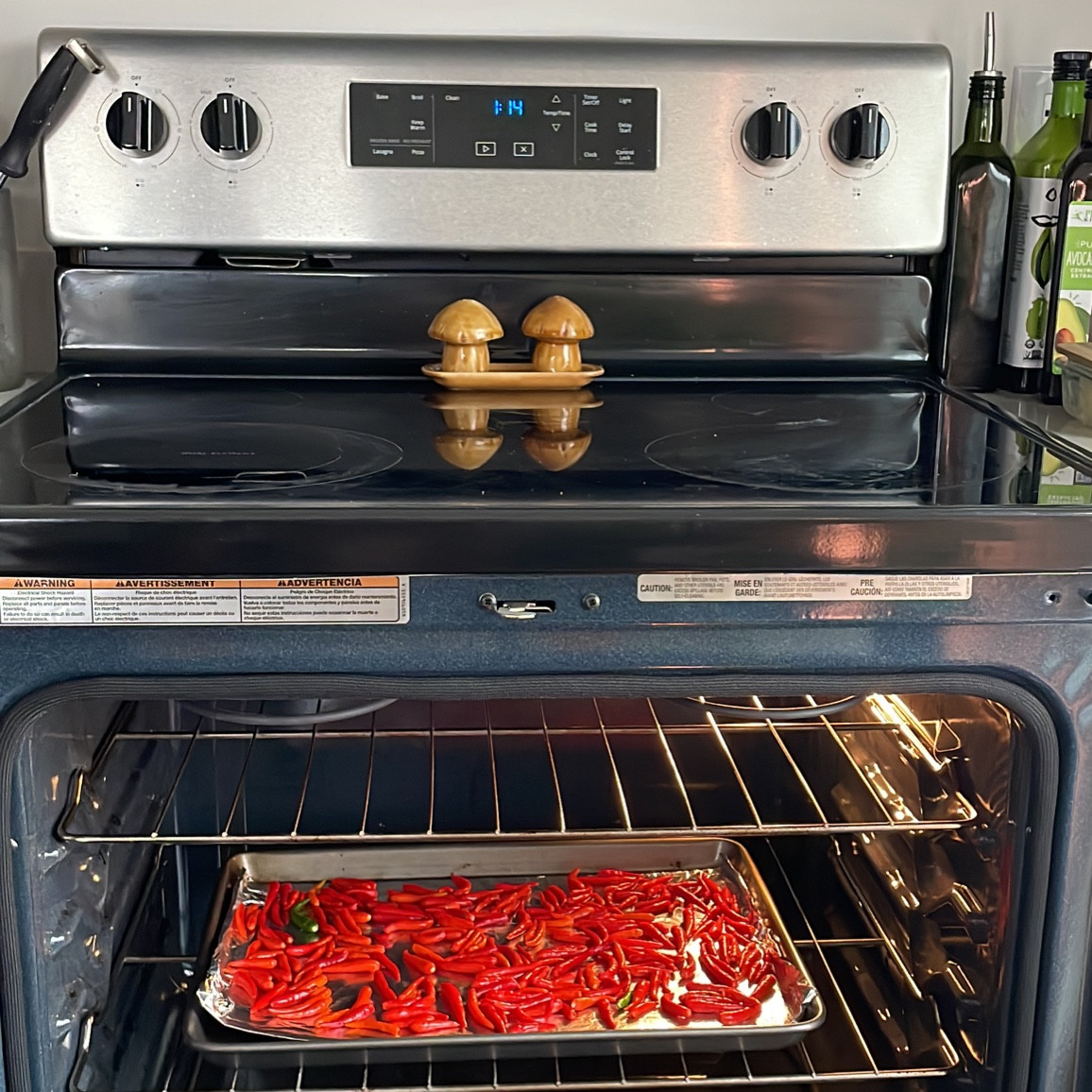 mushroom salt and pepper shakers from anthropologie 
