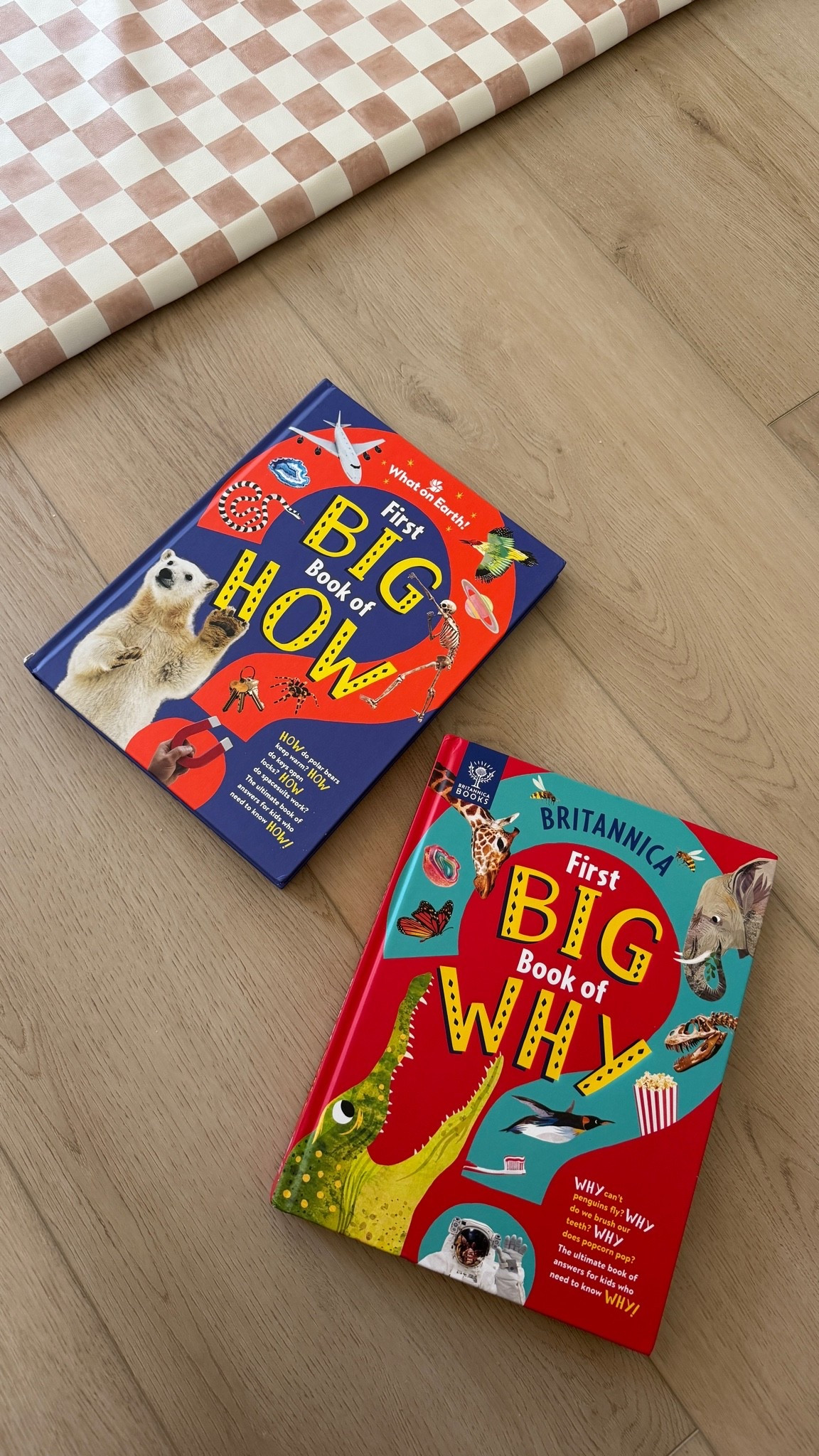 love these books for my toddler! She’s in the stage of asking why and how for everything so this is helpful to start conversations ☺️ #toddlerbooks #toddlermom #toddlerfinds #books #targetfinds

#LTKmorningroutine #LTKKids #LTKstorytime