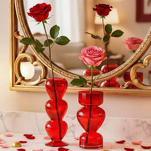 Acellegic 2 Pcs Valentines Vase Red Heart Transparent Glass Vase Table Centerpiece for Valentines Decorations Modern Table Kitchen Decor Mothers Day Bridal Shower | Amazon (US)
