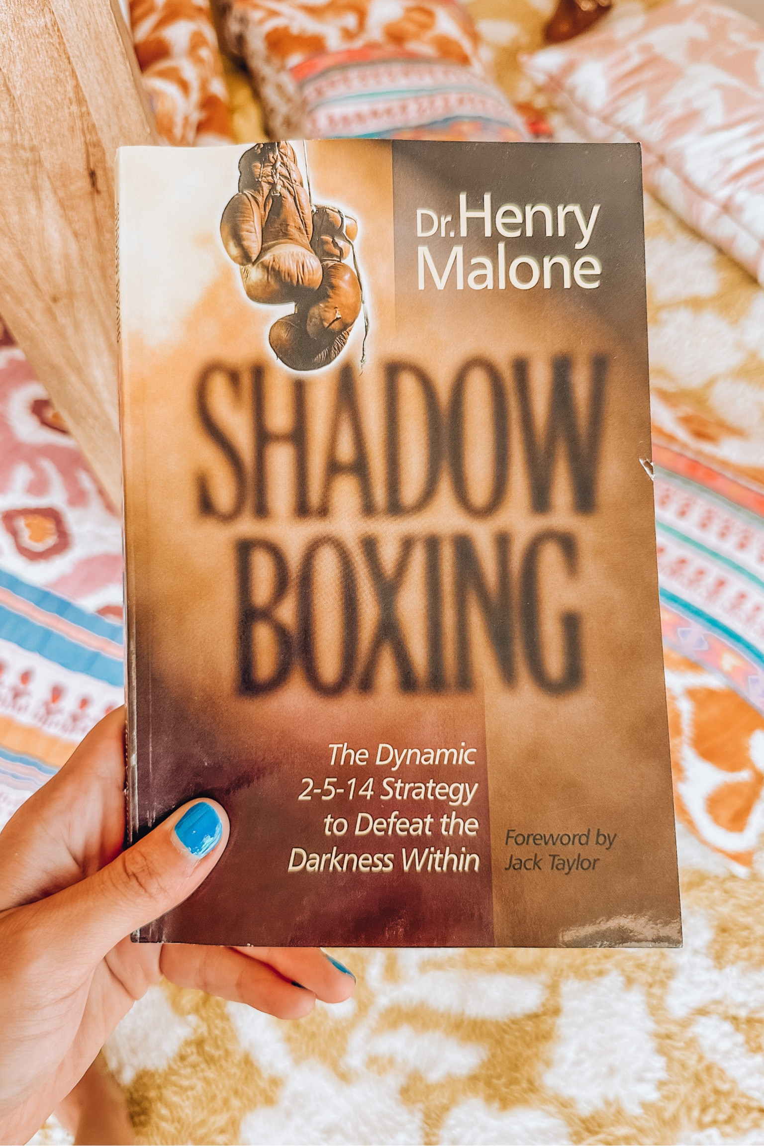 Shadow Boxing Book | Christian Books 