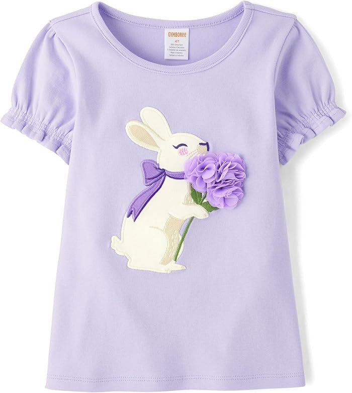 Gymboree Girls' and Toddler Embroidered Graphic Short Sleeve T-Shirts | Amazon (US)