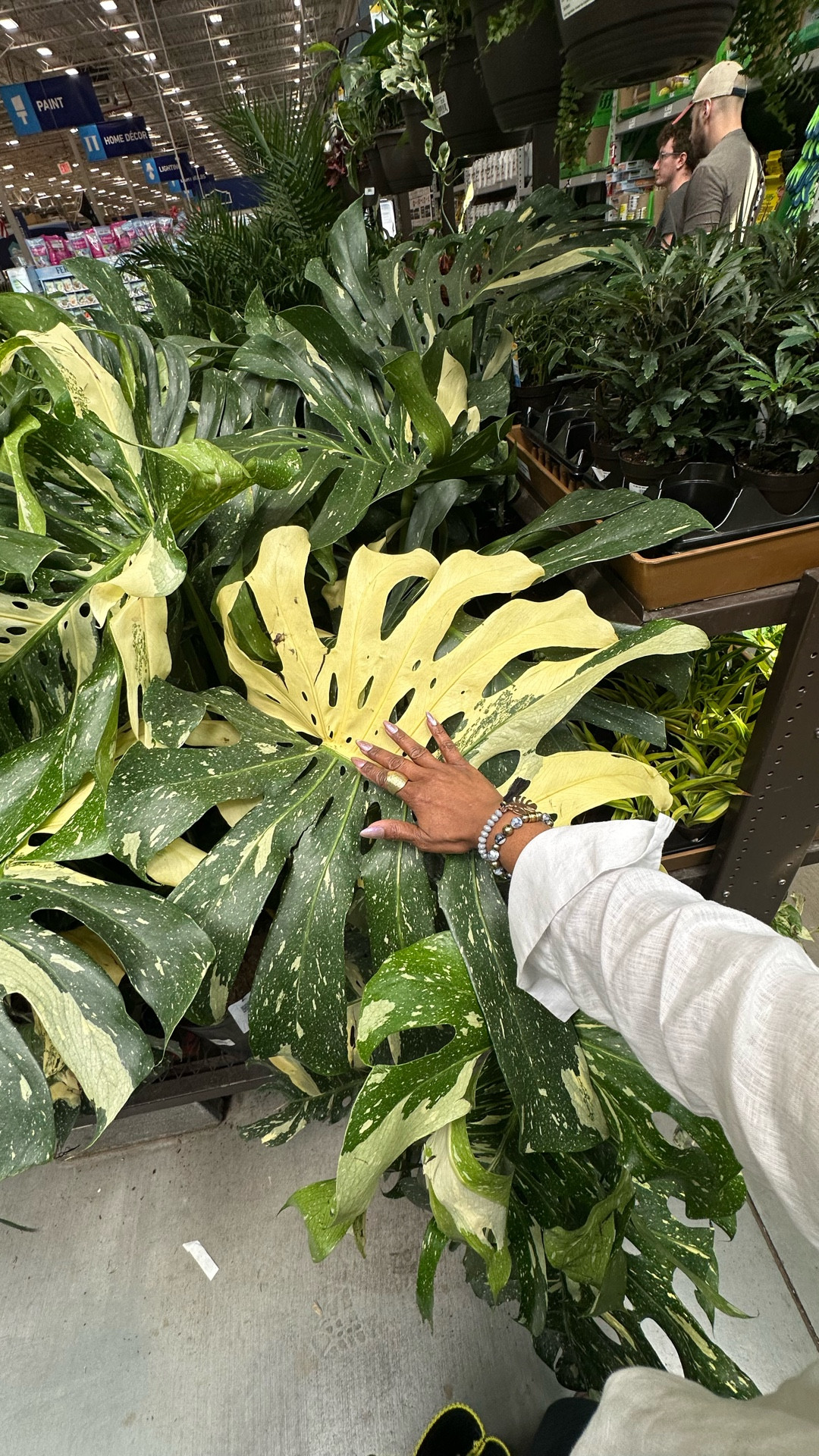 🚨Enabler Alert🚨

If I see you contemplating about a plant, it’s my sworn duty to ensure you leave with it. 😅 No plant left behind. 😂 

#LTKdayinmylife #LTKHome #LTKmorningroutine