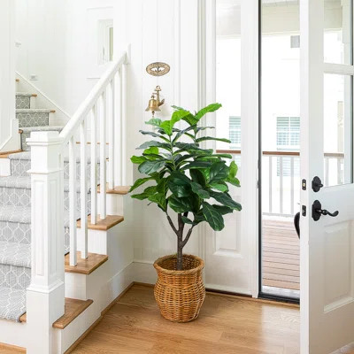 Marley Faux Tree Fiddle Leaf Fig Plant in Black Plastic Pot | Wayfair North America